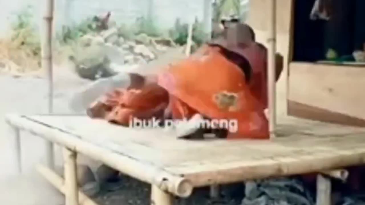 Funny video