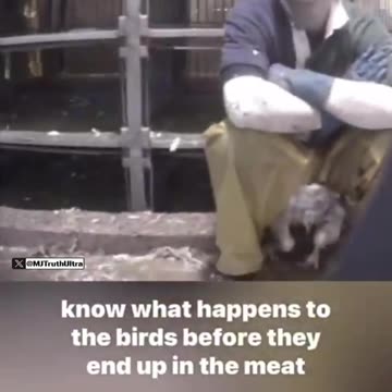 Butterball 2006 Investigation of sexual abuse to Turkeys