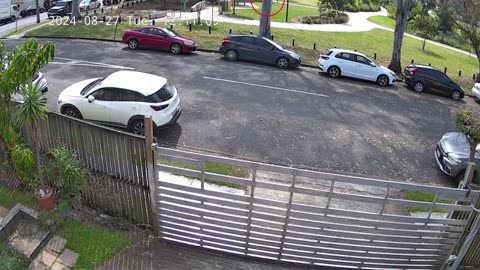 CCTV footage of a man who allegedly assaulted baby at a park