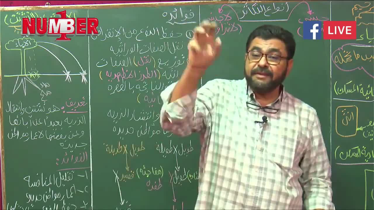 الاحياء التكاثر لجنسي 15
