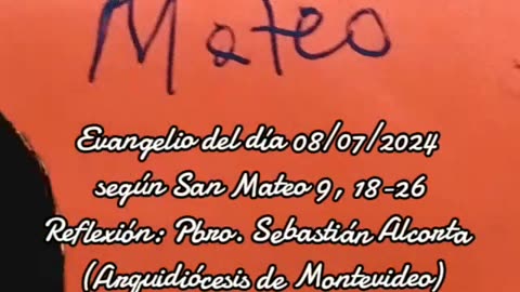 Evangelio del día 08/07/2024 según San Mateo 9, 18-26 - Pbro. Sebastián Alcorta