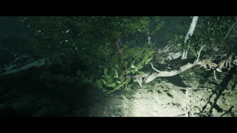Little Hope - [1]