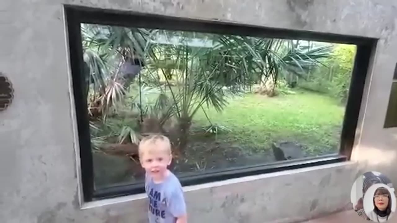 BABY AND ANIMAL - Crying Babies With Animals Moments - Funny Baby Videos Just Funniest