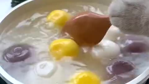 cat cooking food funny video