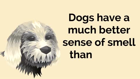 Dog Facts for Kids FUN!