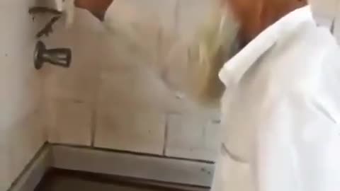 Bug Remover
