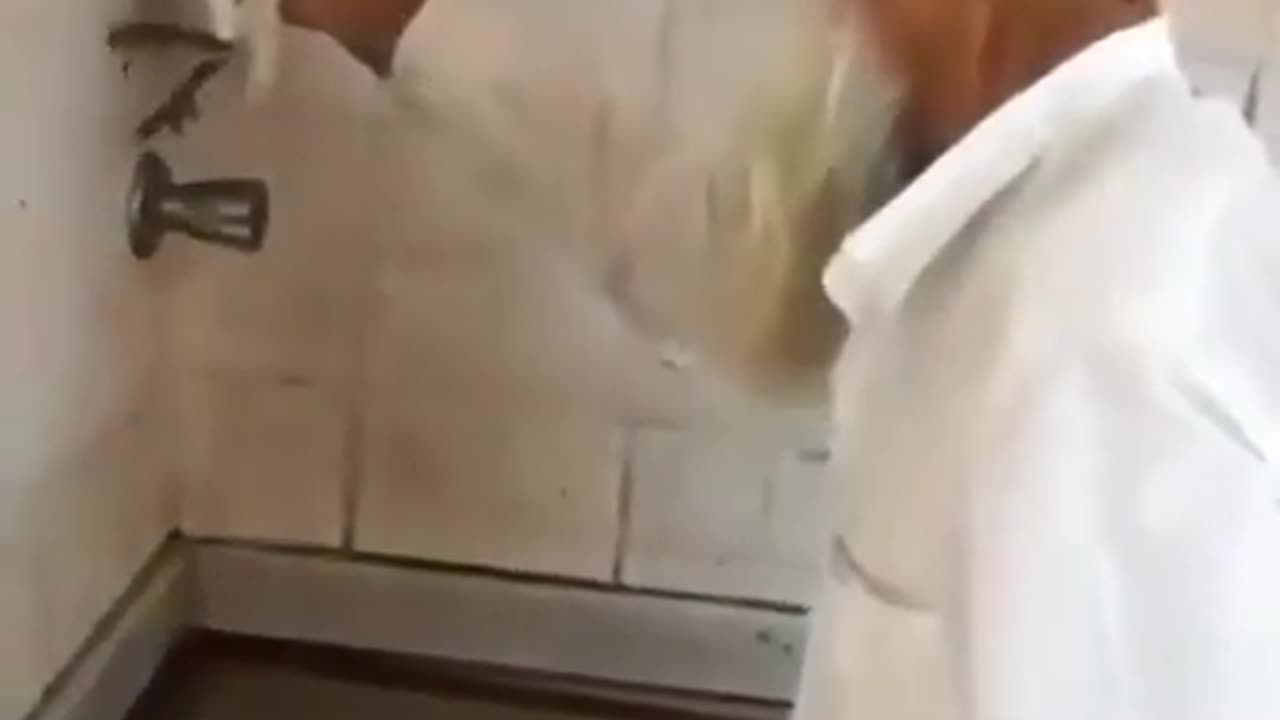 Bug Remover