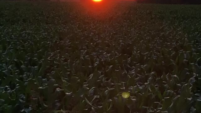 Texas beautiful sunset