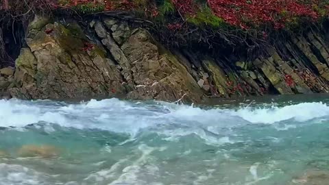 Relaxing Sleep Music • Relaxing Music, Stress Relief, Meditation Music