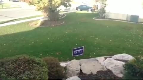 This American Home Owner Electrified his Trump Sign