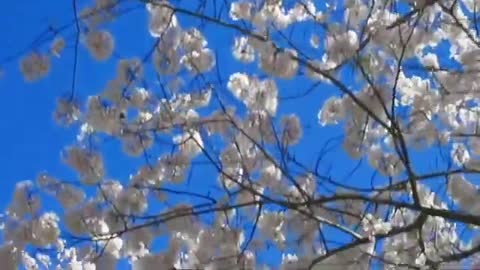 https://bit.ly/3r4iHXe music to relax