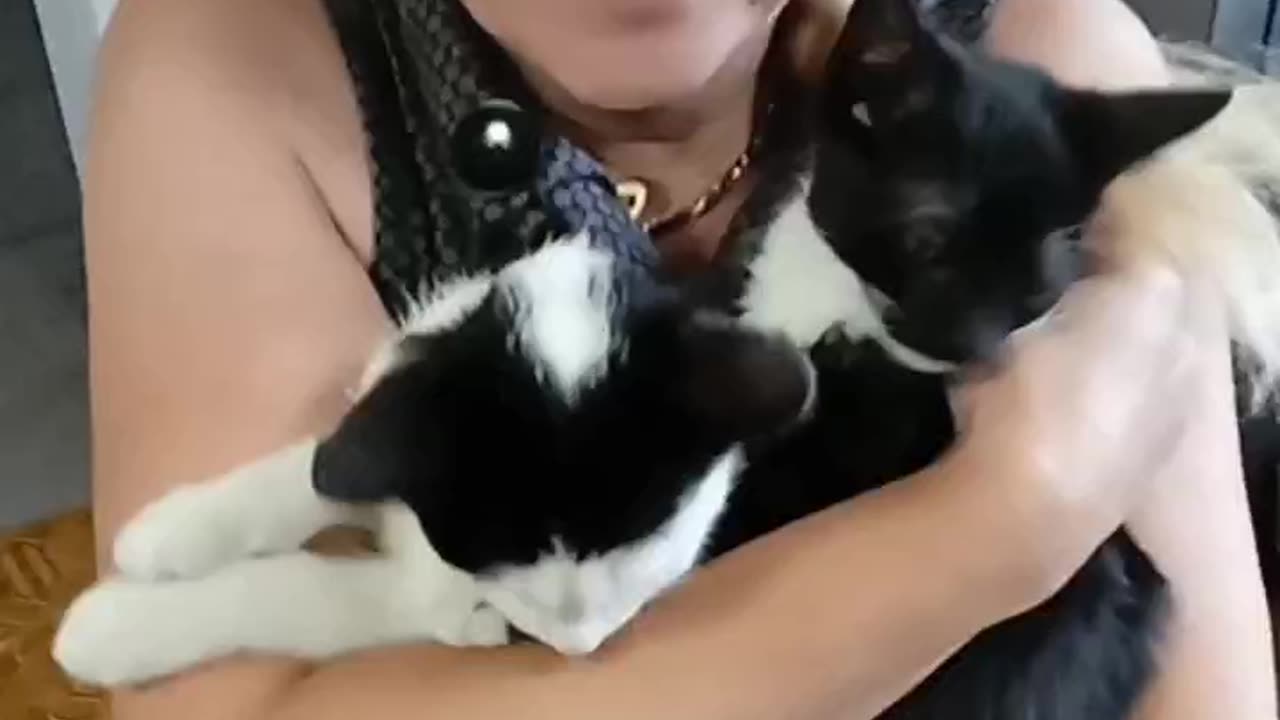 MOJE UKOCHANE DZIEWCZYNY 🥰♥️😺
