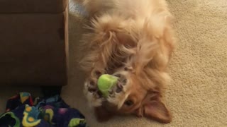 Look ma, no thumbs!