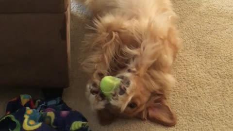 Look ma, no thumbs!