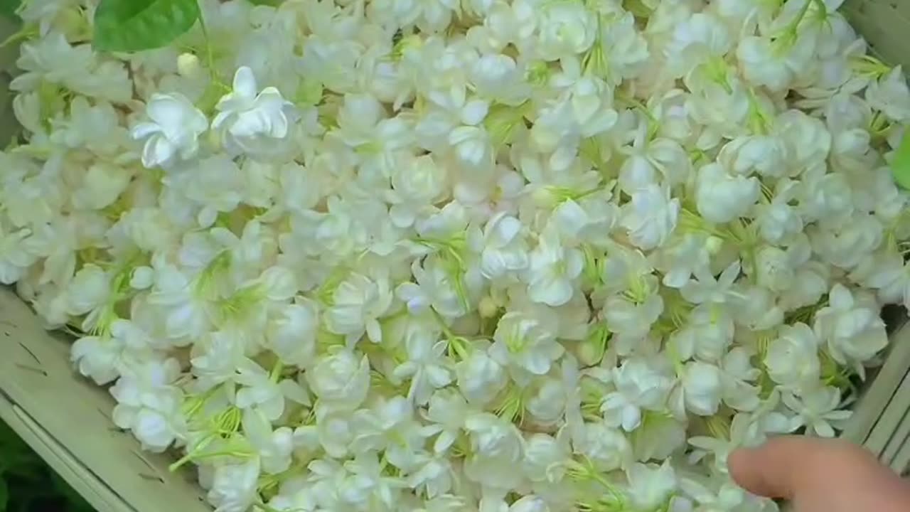 Natural gift