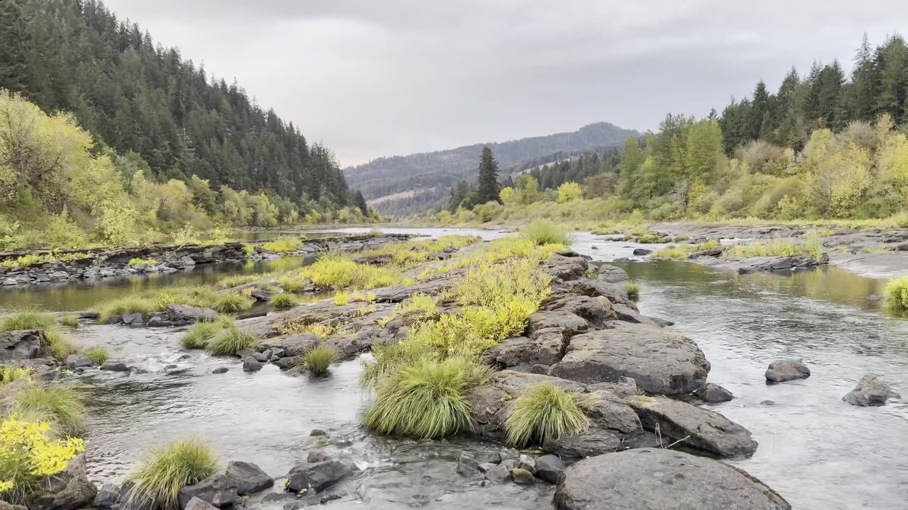 Oregon Campsite Challenge