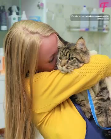 A Cat's Transformation