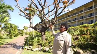 KELERA | GARDEN EXPERT | OUTRIGGER FIJI | BUCKET LIST