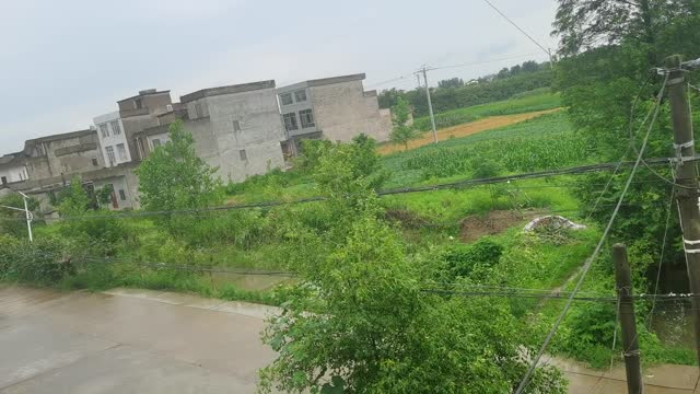 At last the storm is over!