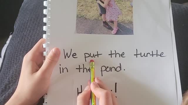 My Turtle Book