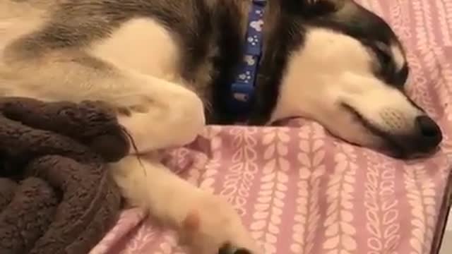 Little hands are waving while sleeping