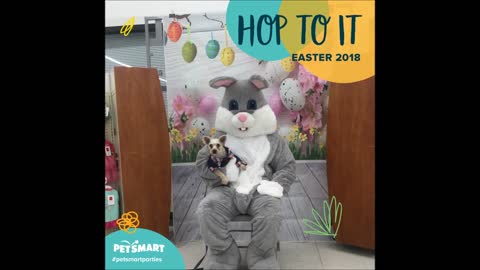 3-24-2018 - Pictures From Chipper's Visit With The Easter Bunny