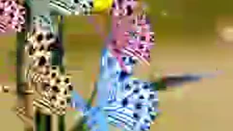 One day see this video.
