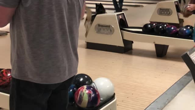 Dog Causes Disturbance During Bowling