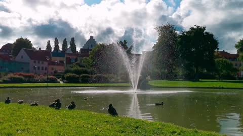 Wellspring on lake in park