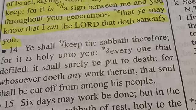 Daily Scripture