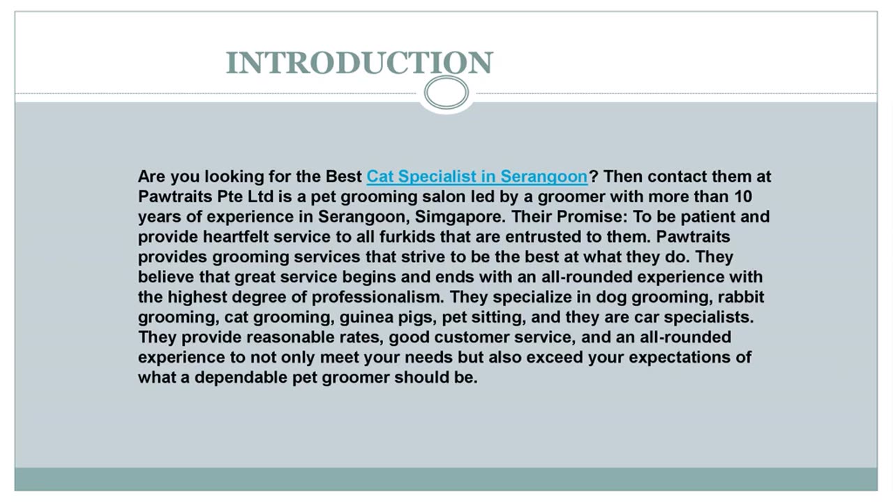 Looking for the best Cat Specialist in Serangoon