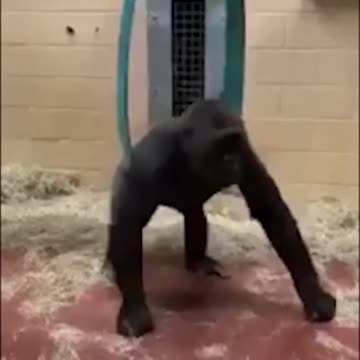 We used to do this at the play ground too 🤣