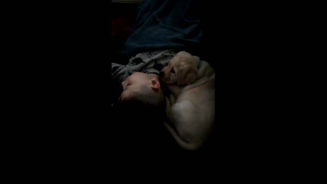 boy is sleeping and cute puppy wake him up