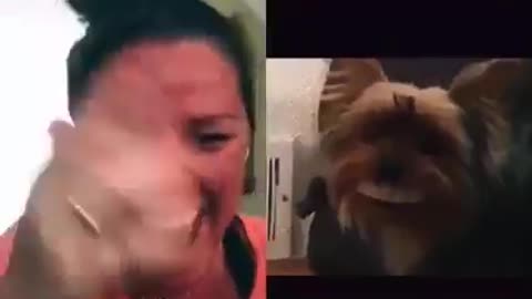 Keep an eye on the dog 🐶 lol 😂