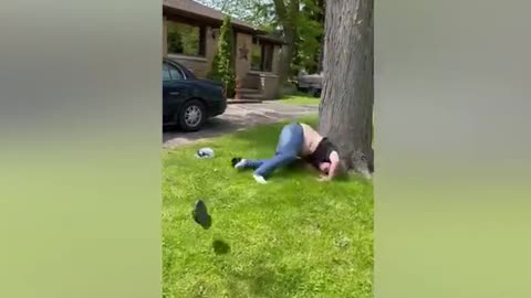 Funny videos