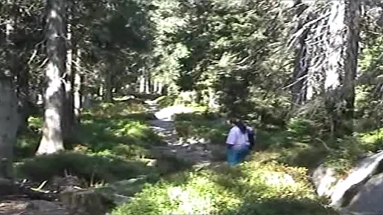 ŠUMAVA PLECHÝ 1992 2003 2017