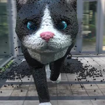 The lonely kitten disappears as it walks