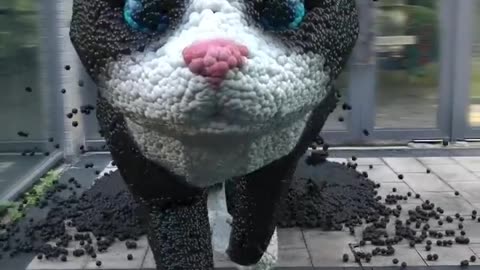 The lonely kitten disappears as it walks