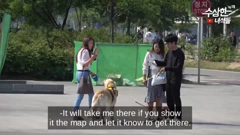 Best korean pranks in public