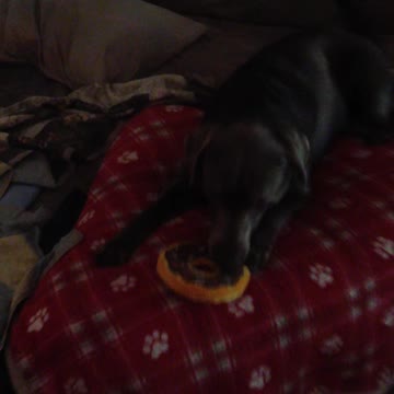 I really like this toy.