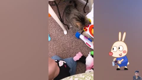Funny with cats