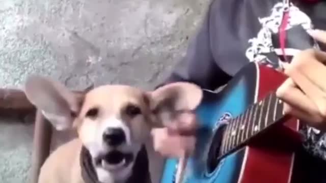 Dog singing with owner