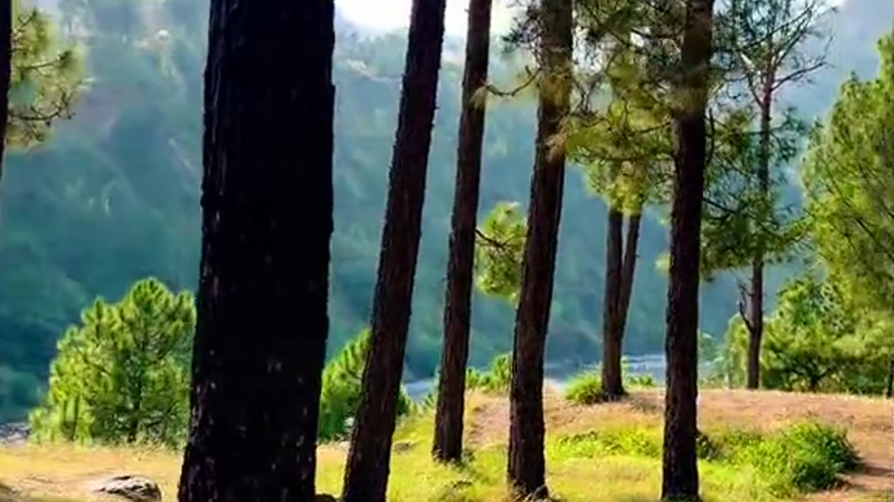 Beautiful Pakistan 16