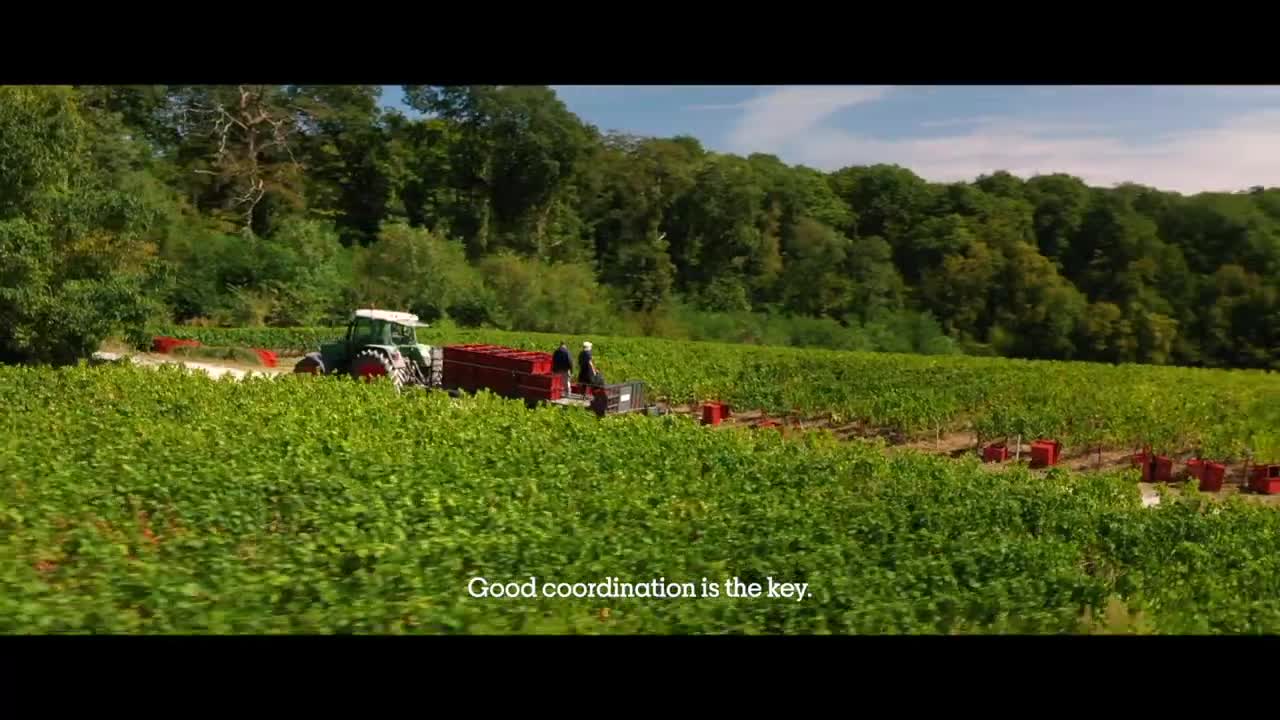 Lignes De Vie (Lines Of Life)