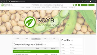 SOYB ETF Introduction (Soybean)