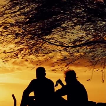 "The Spark of Friendship: Shared Understanding"