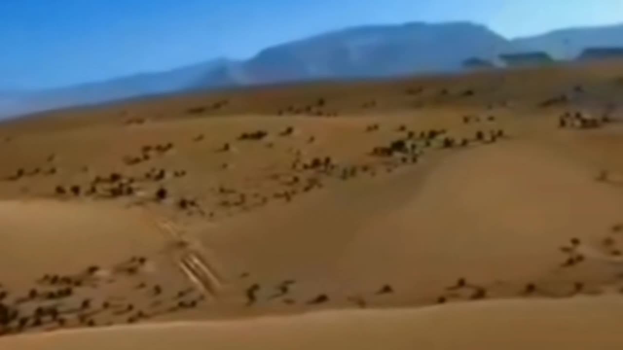 Hold my beer