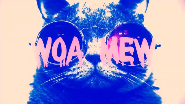 😺😍 Funny animals - Funny cats, dogs - Funny animal videos 😂