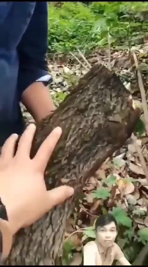 Incendios, laser destructor e iniciador de incendios. No es cambio climatico