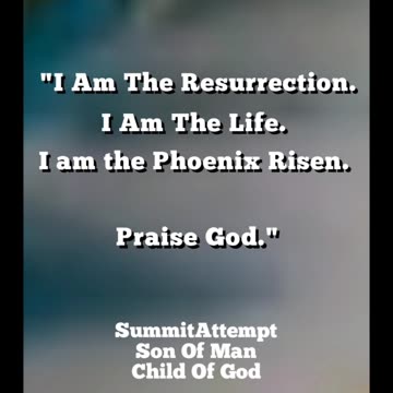 I am the Phoenix Risen